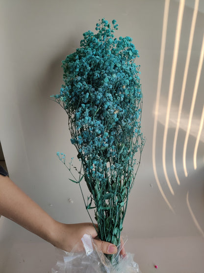 Baby breath