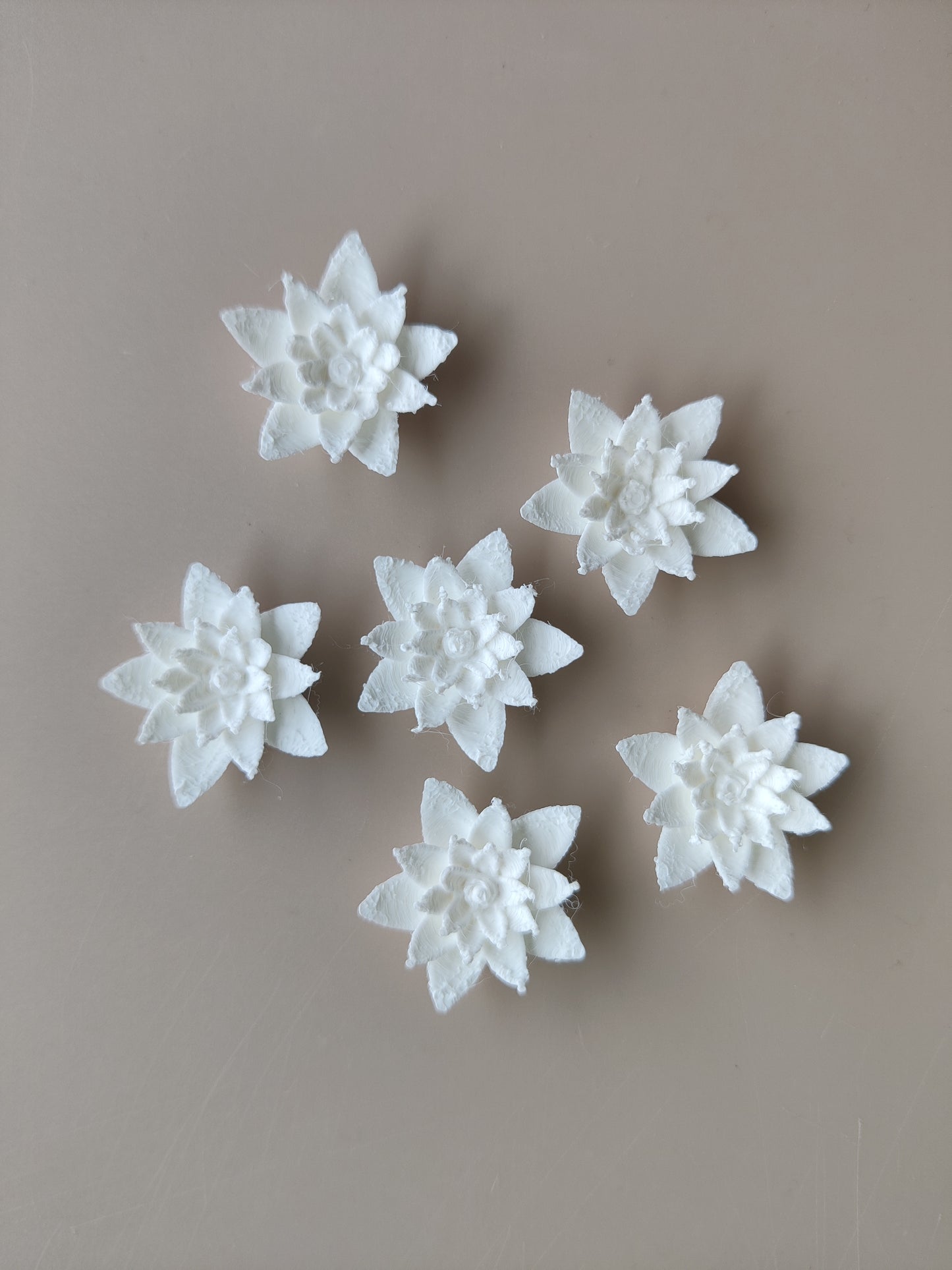 Lotus pond flower miniature