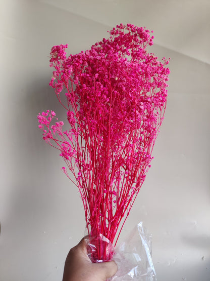 Baby breath