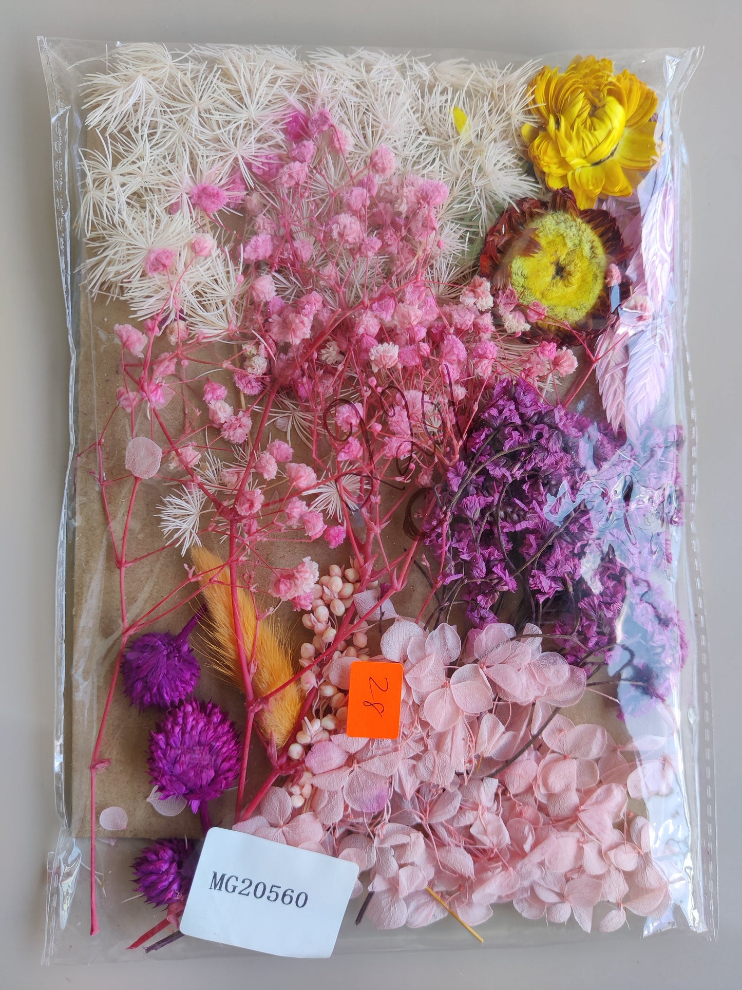 Dry Flowers C - Purple pink