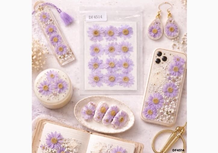 Daisy Pressed Flower - Daisy lavender