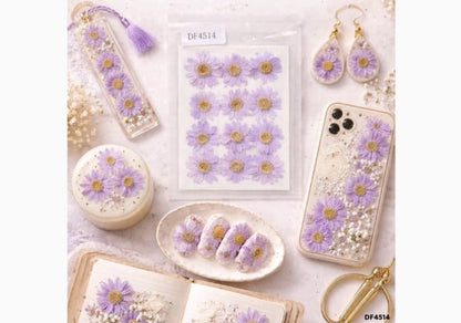 Daisy Pressed Flower - Daisy lavender