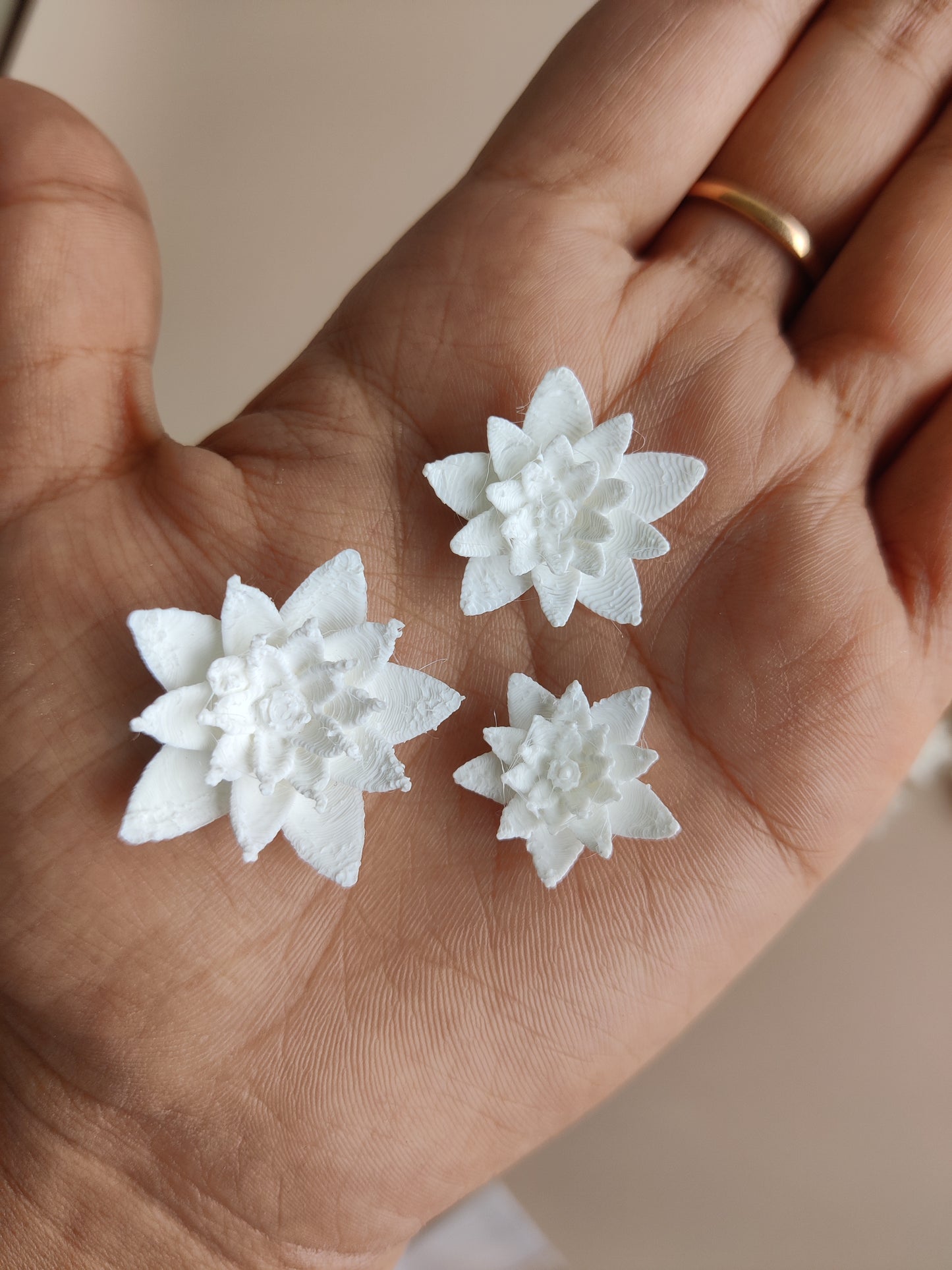 Lotus pond flower miniature