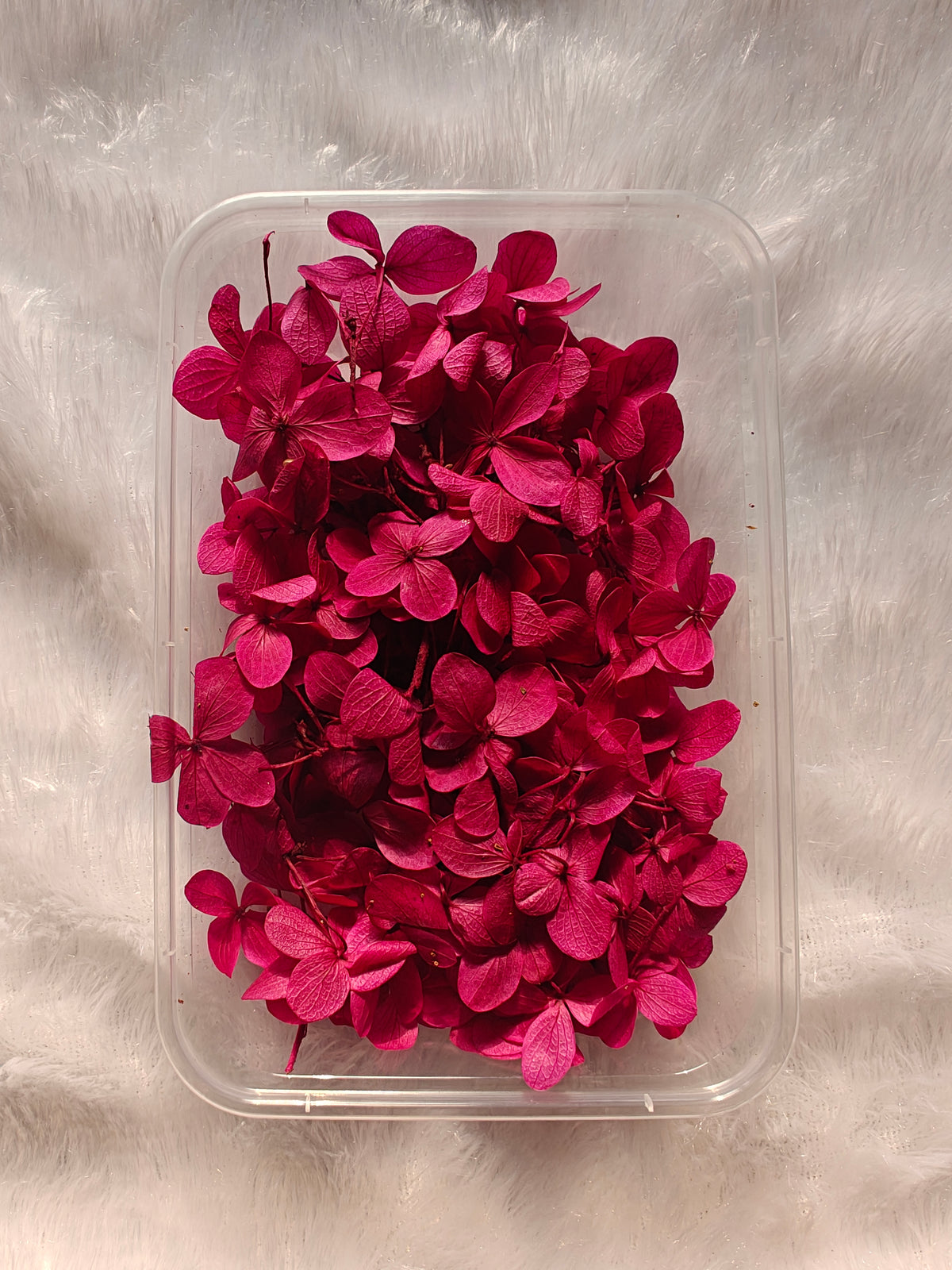 Hydrangea flowers /Dry flower box - Berry pink