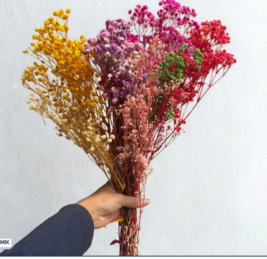 Baby breath - mix of 5-6 colour bunch