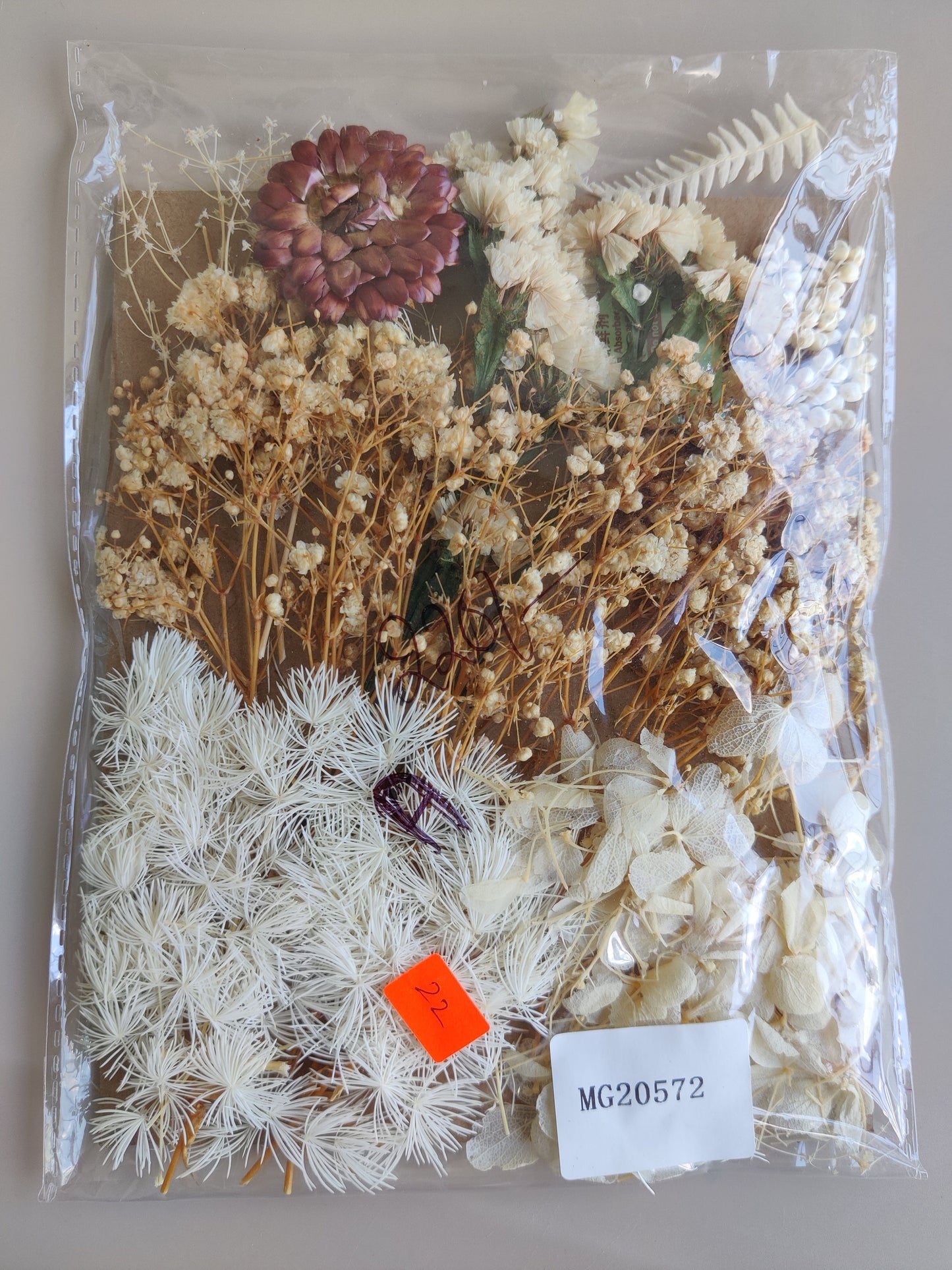 Dry Flowers A