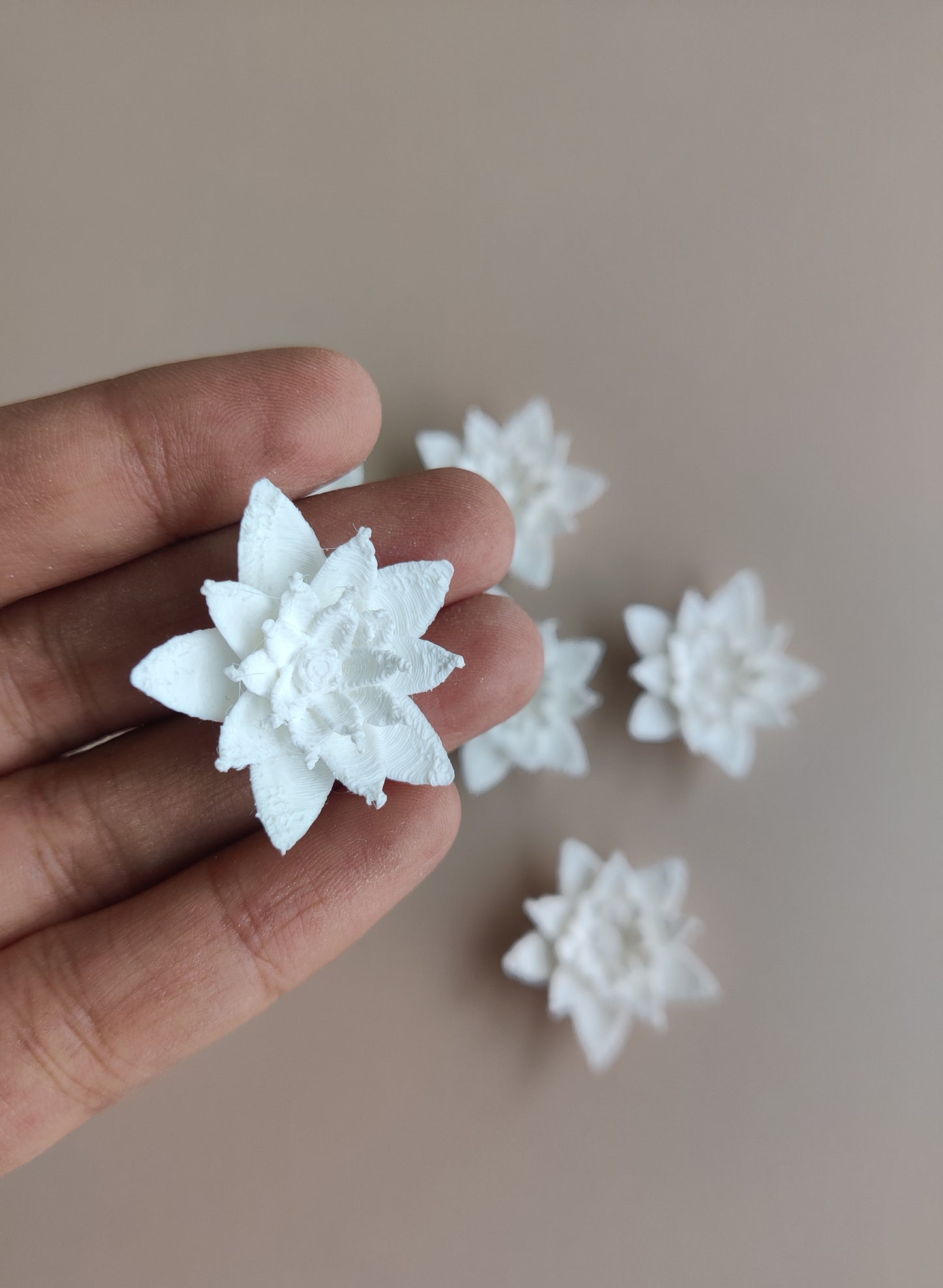 Lotus pond flower miniature