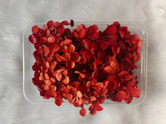 Hydrangea flowers /Dry flower box - Raspberry Red