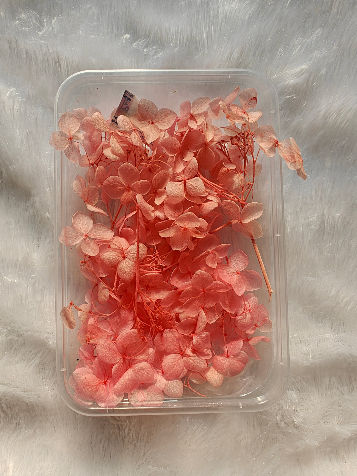 Hydrangea flowers /Dry flower box - Pink