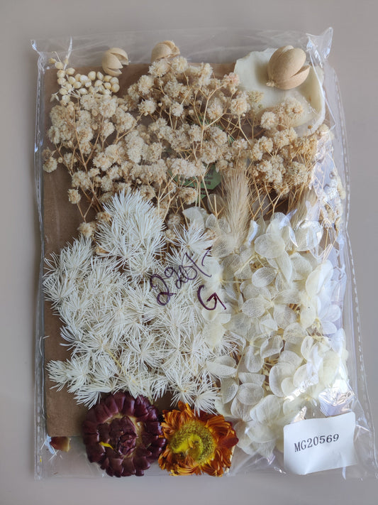 Dry Flowers G