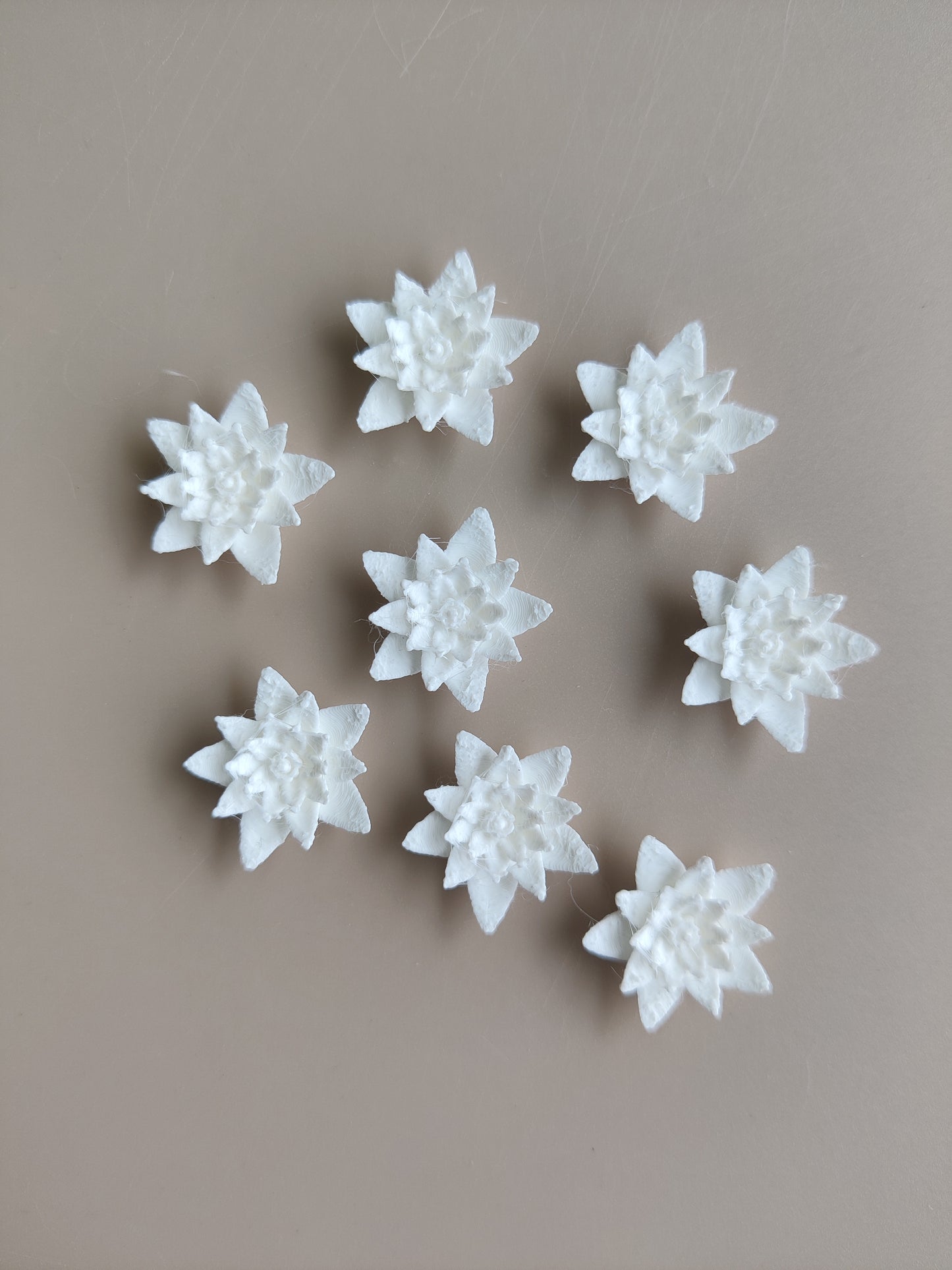 Lotus pond flower miniature