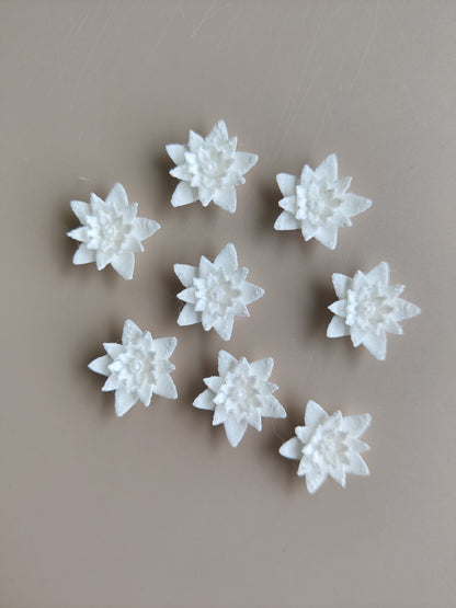 Lotus pond flower miniature
