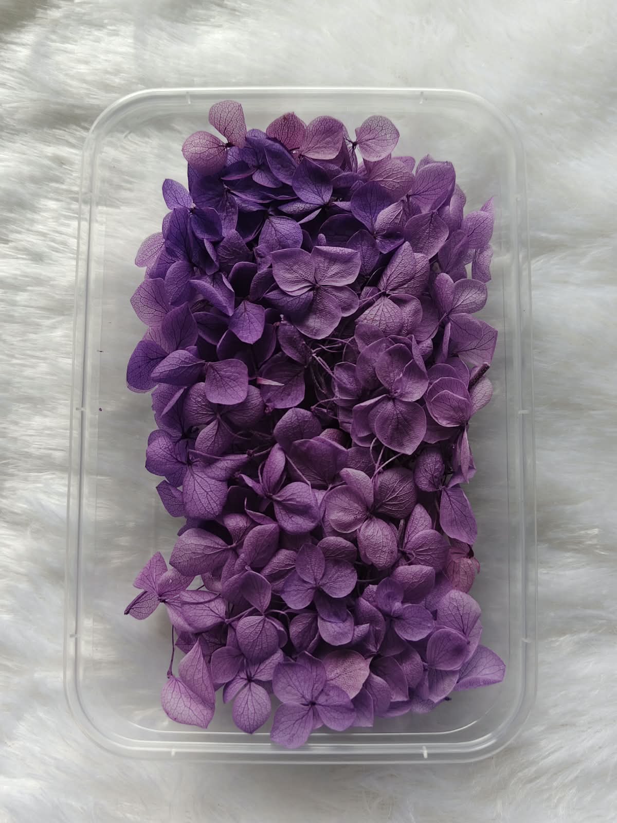 Hydrangea flowers /Dry flower box - Purple