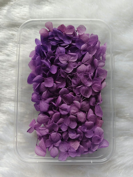Hydrangea flowers /Dry flower box - Purple