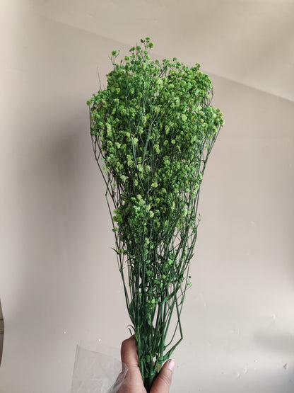 Baby breath