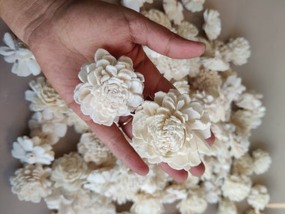 Flower - Sola white