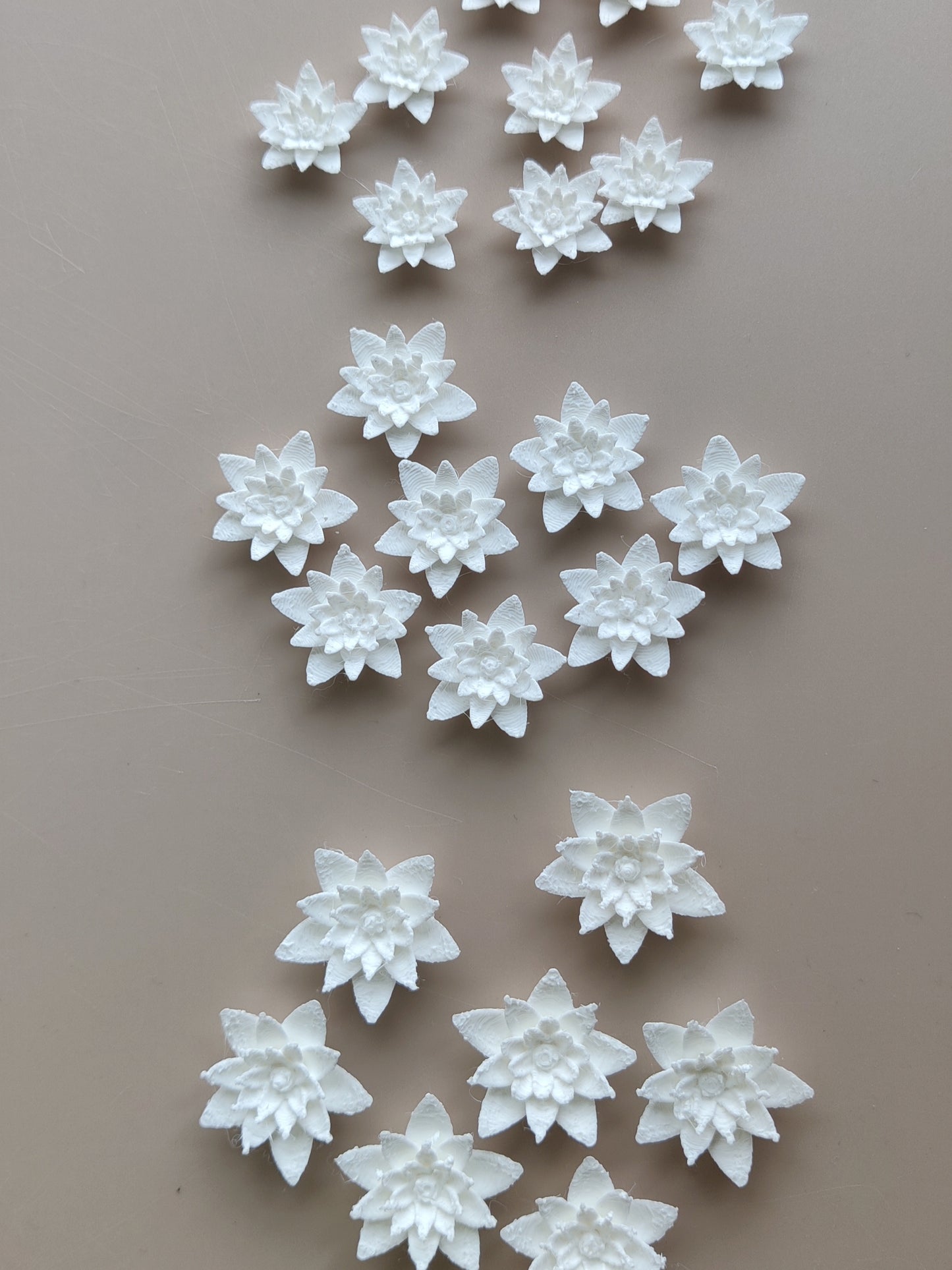 Lotus pond flower miniature