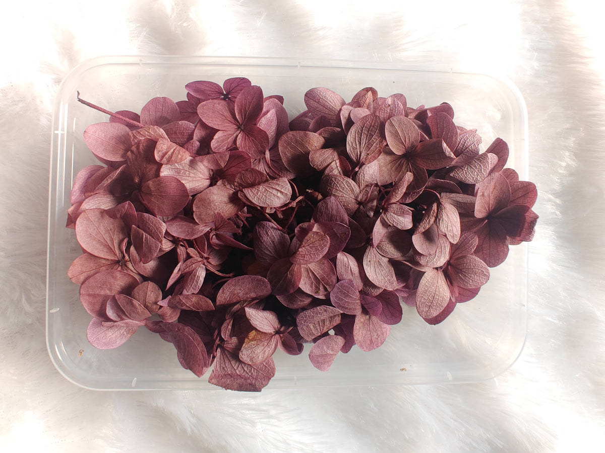 Hydrangea flowers /Dry flower box - mauve purle